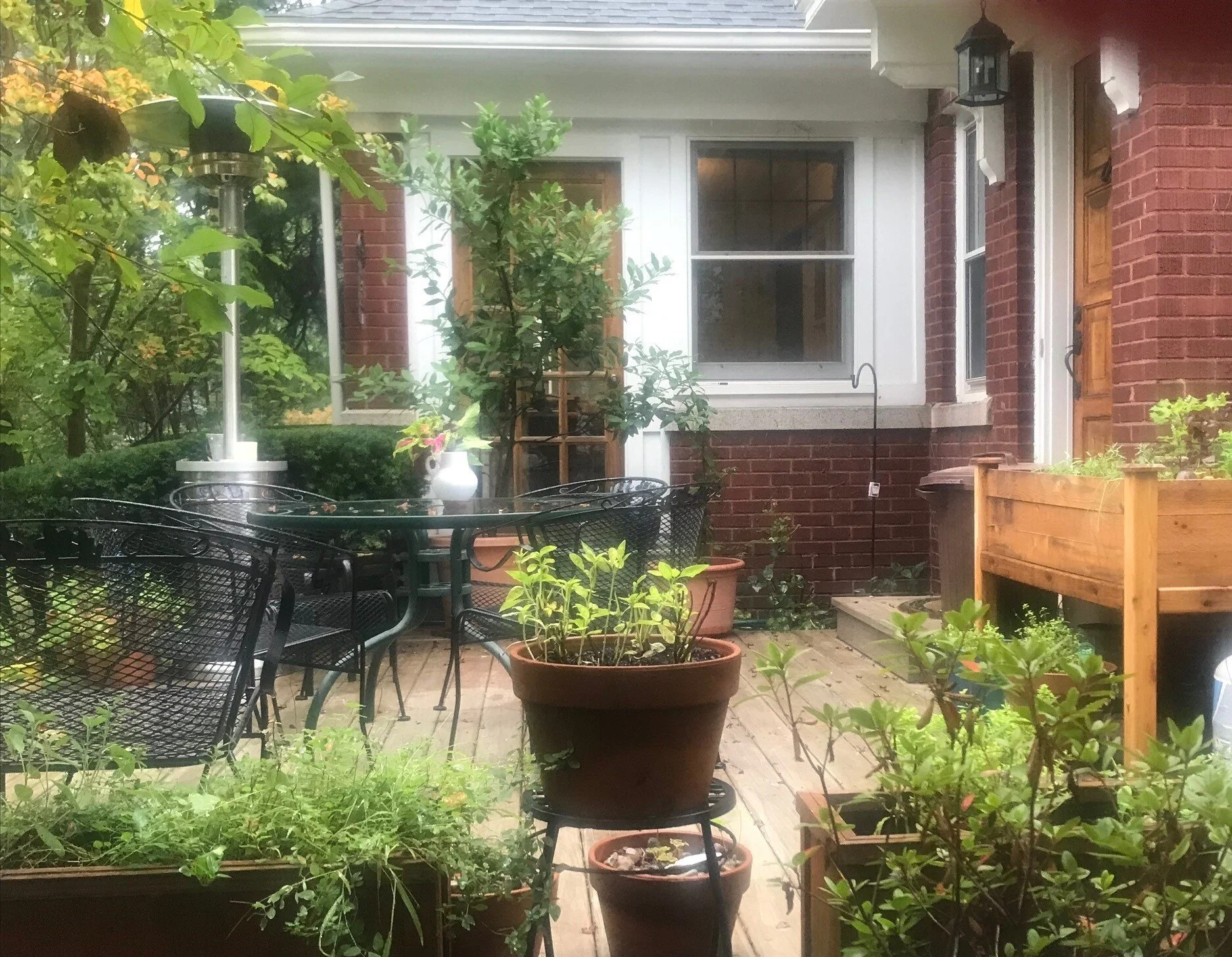 Slow Medicine: Gardening, Patient Care, and Ourselves