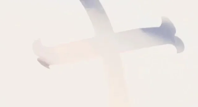 My Chemical Romance Release Mysterious Video; Hint At Reunion