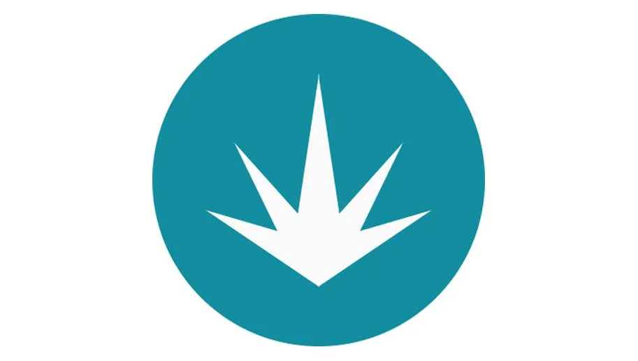 ICON.jpg