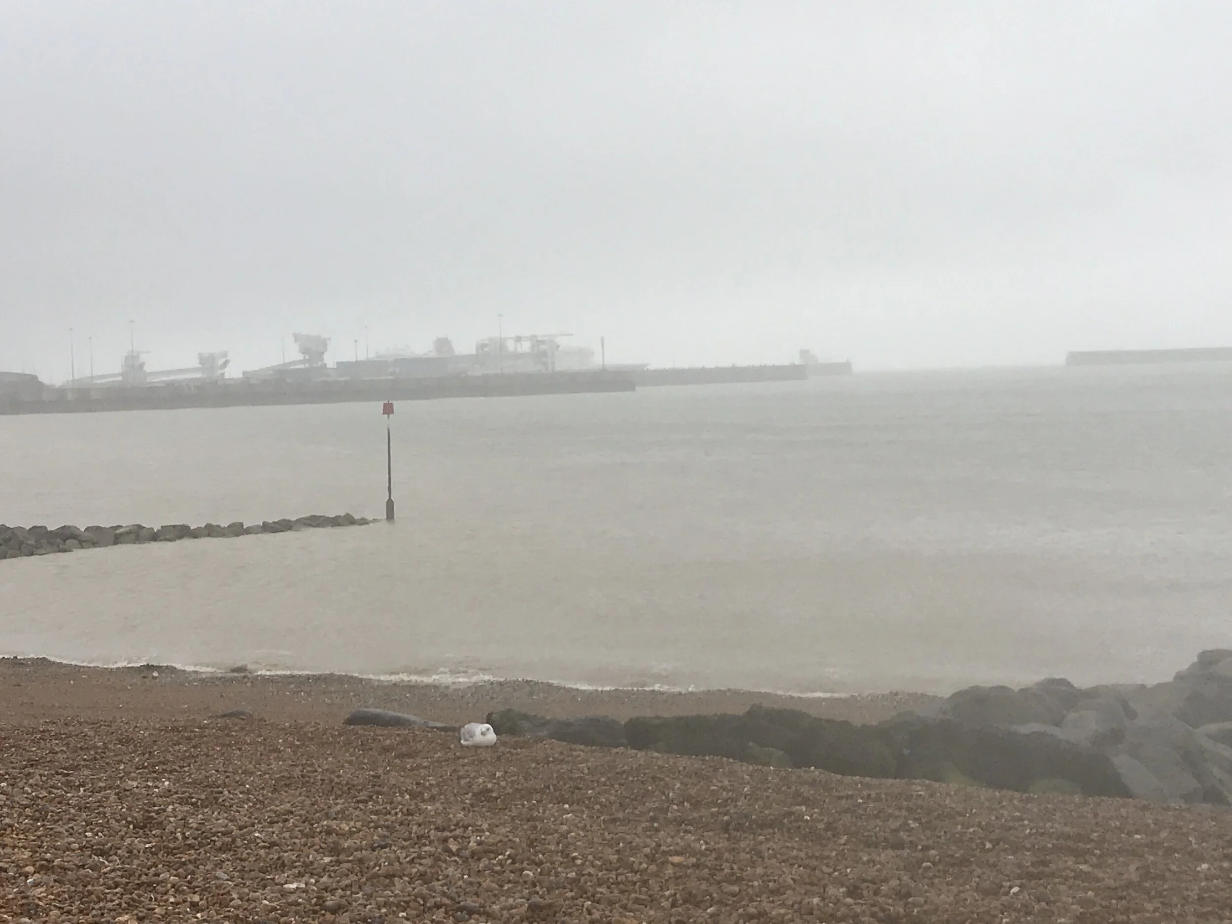 8 am - drizzly and windy