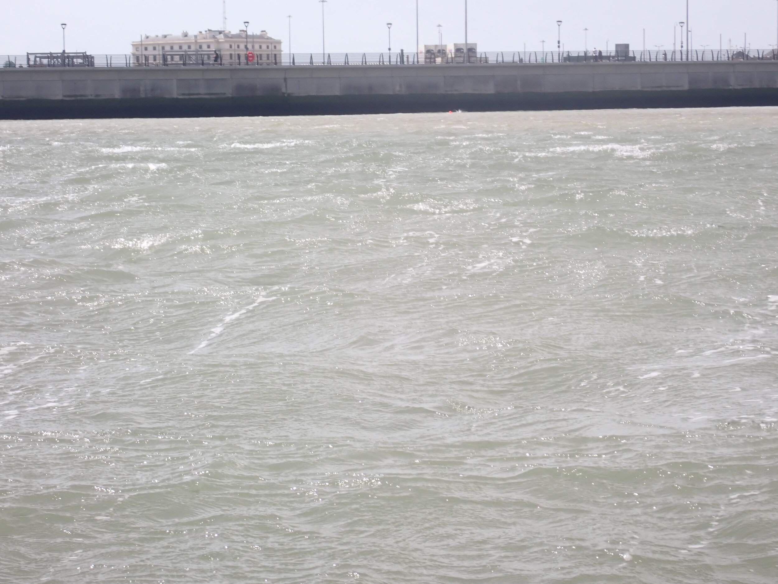 IMG_2567.JPG
