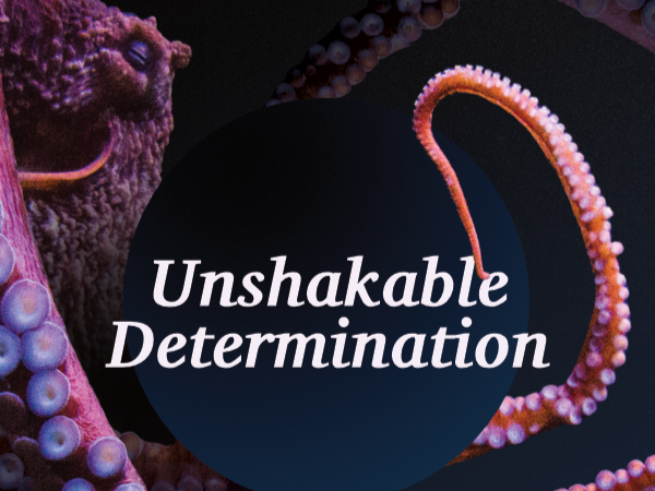 Unshakable Determination 
