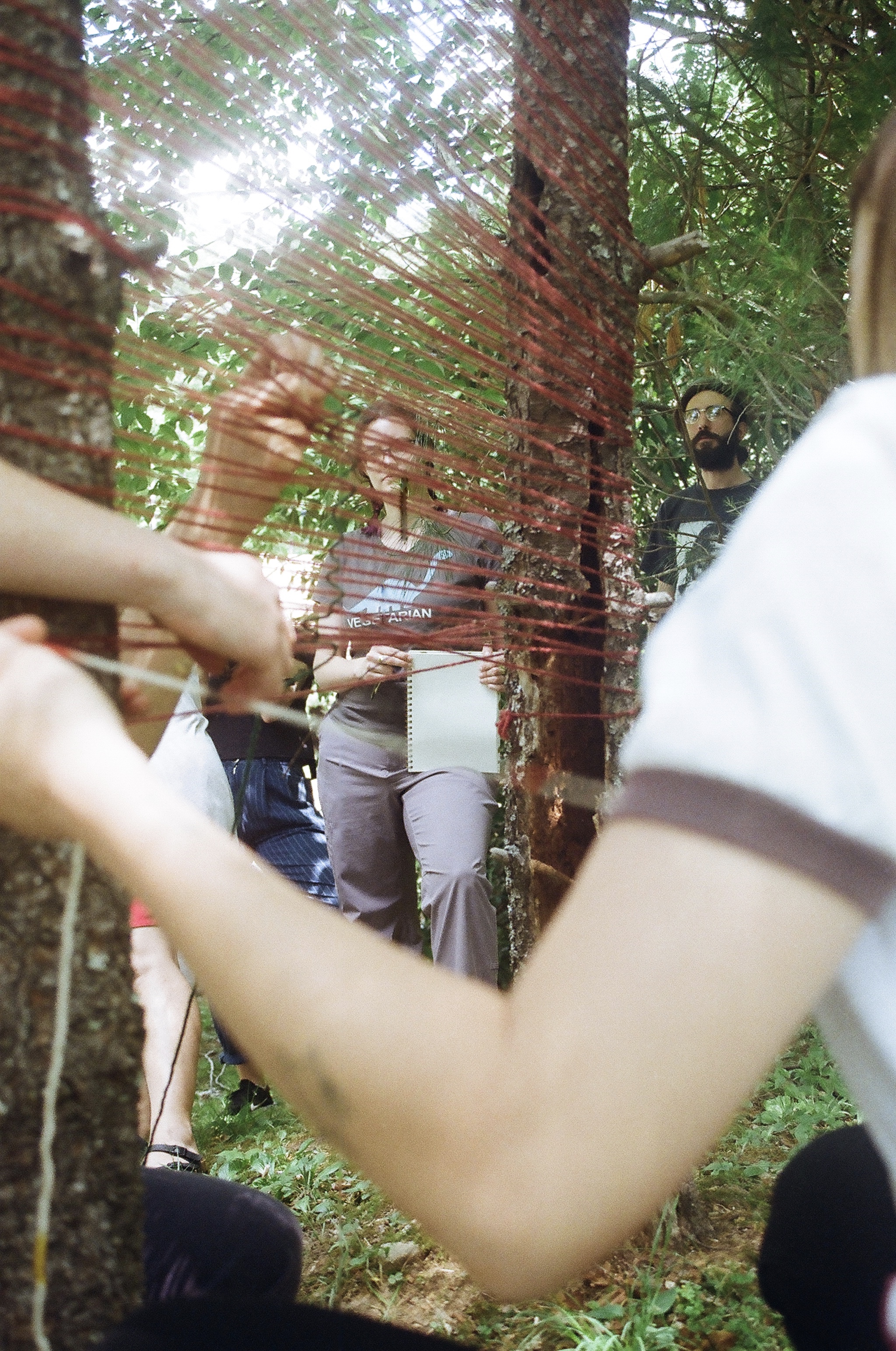 using trees as looms photo by KT Murray