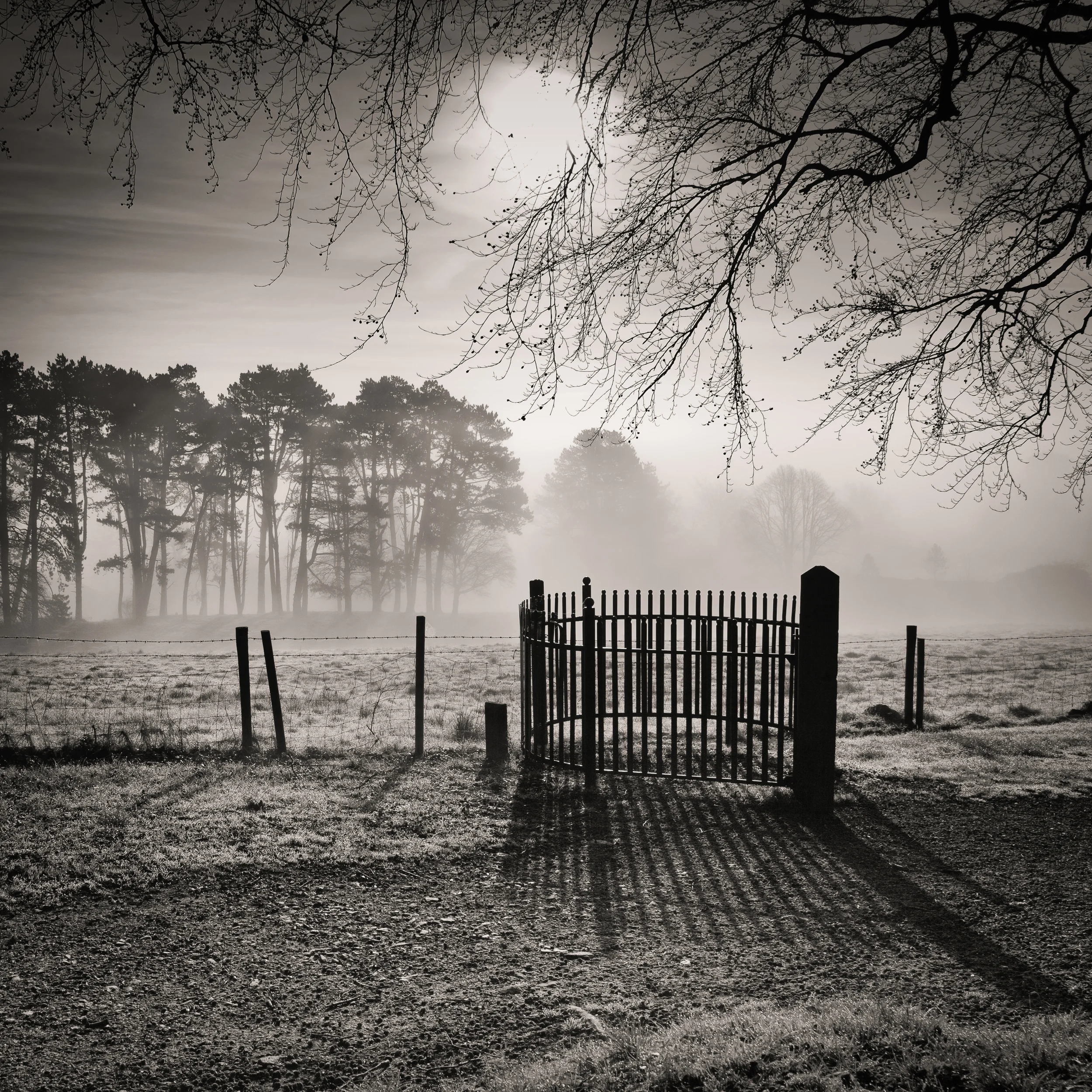 Easter morning