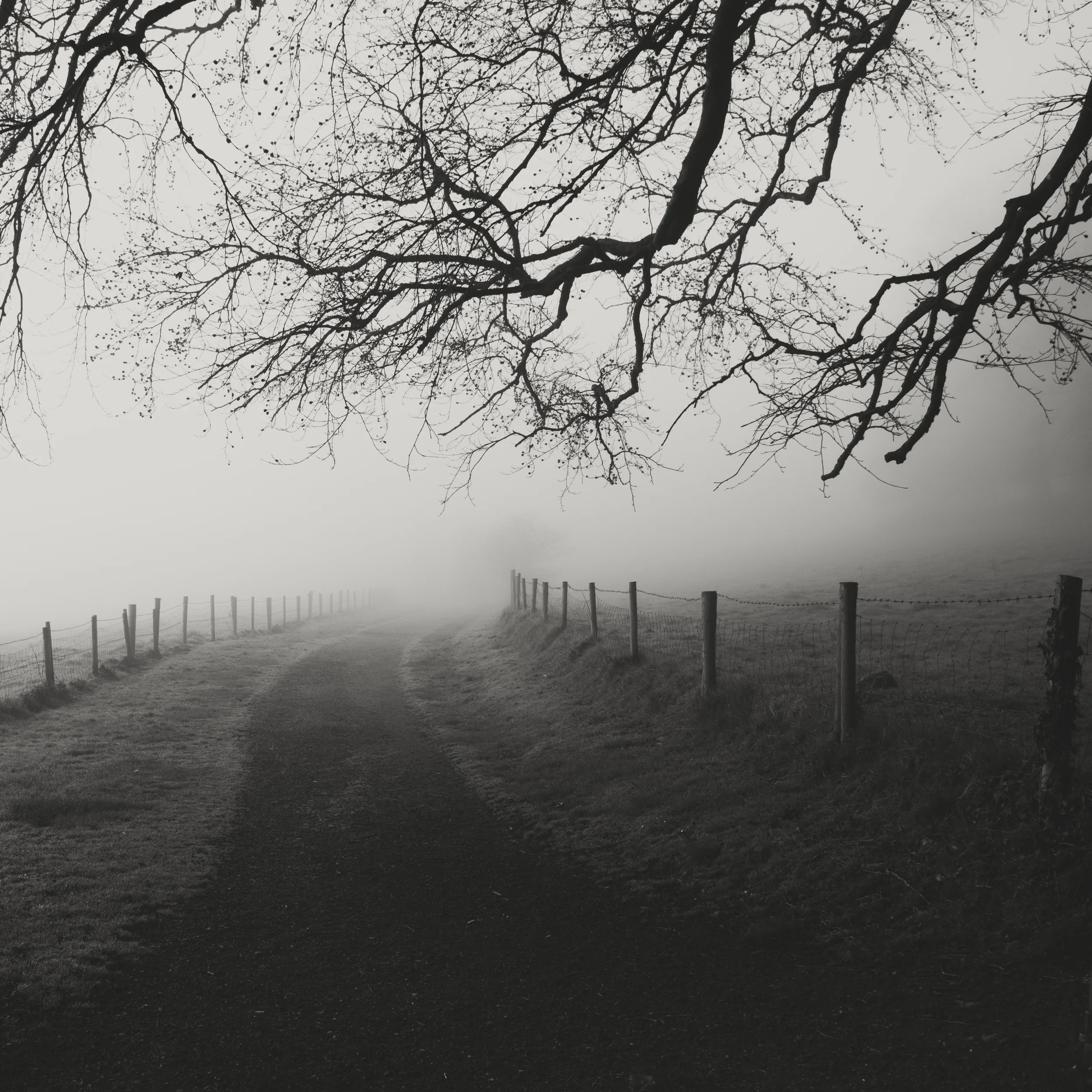 The final path