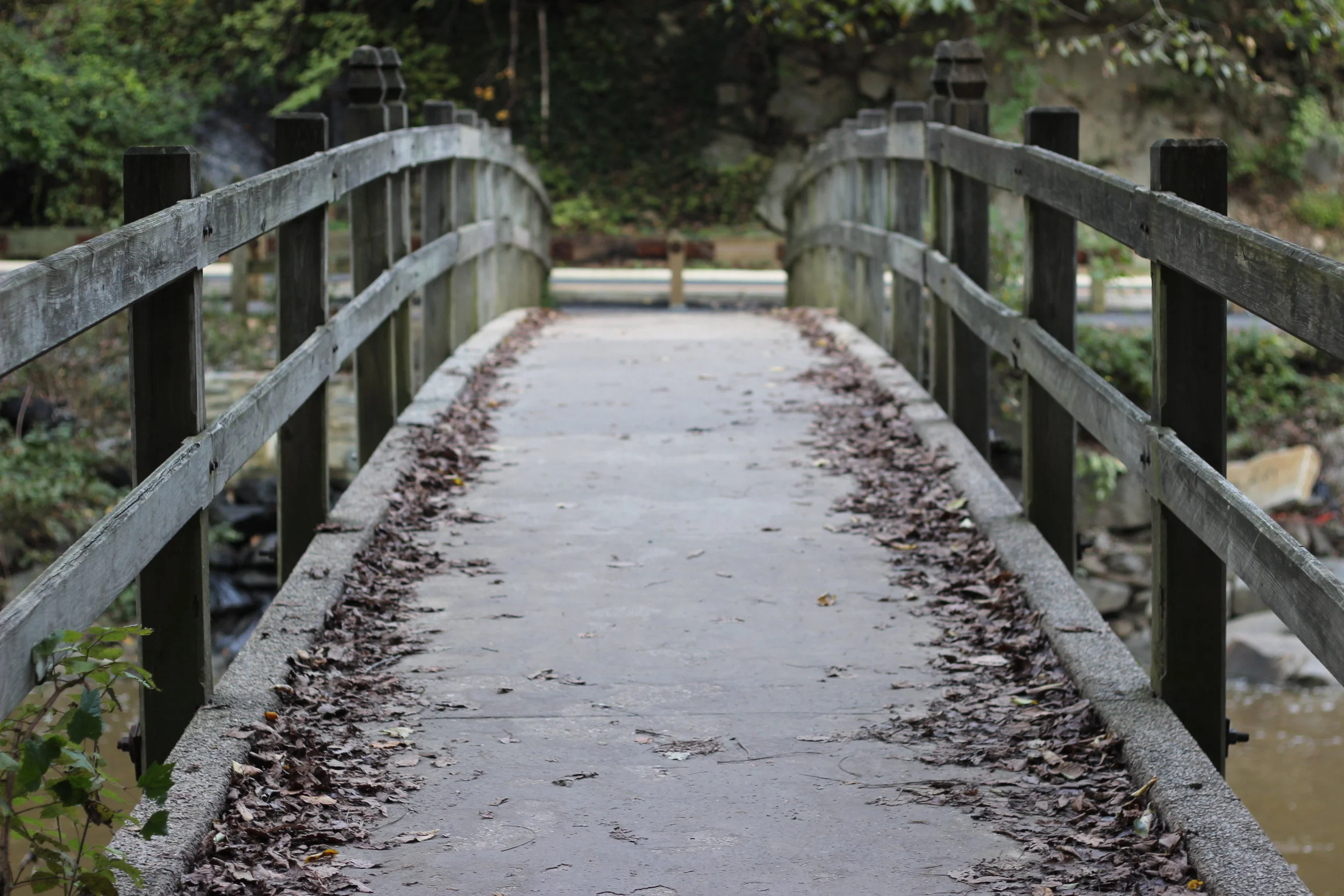 2018-09-29 18.20.18.jpg