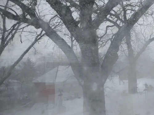 through a window darkly...