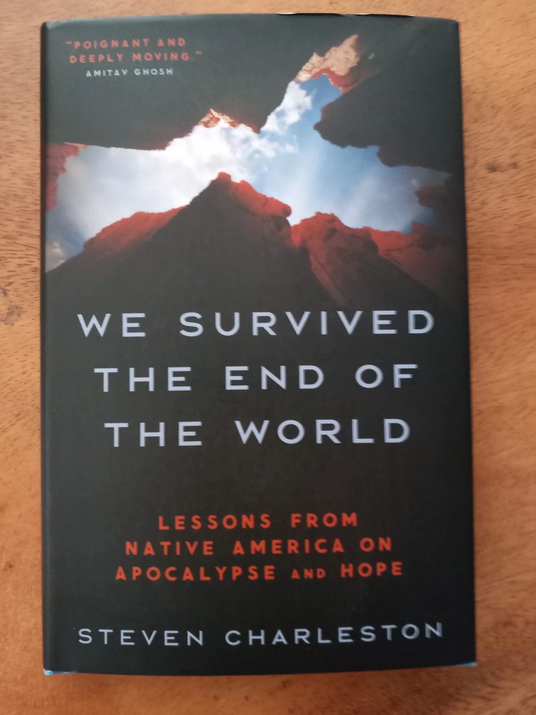 We Survived the End of the World — Lisa Bodenheim | Writer