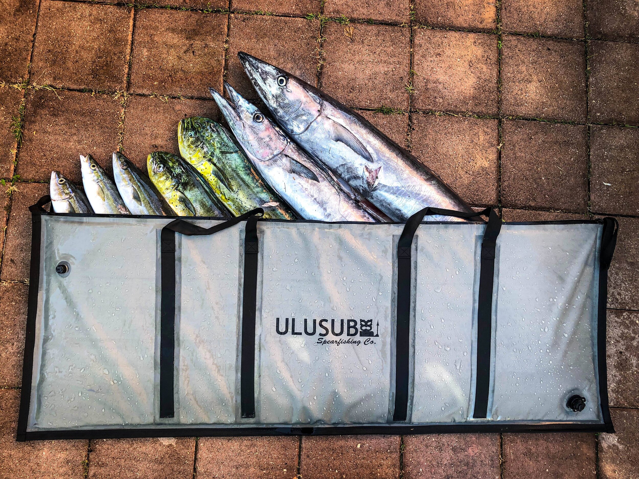 fishing cooler bag for Sale,Up To OFF64%