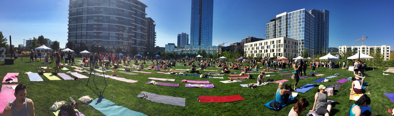 barre3 in the Park, with 1000 of my closest friends :-)