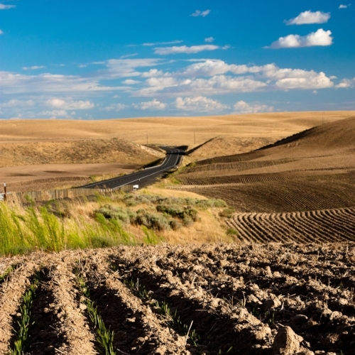 Does Land Degradation Increase Poverty in Developing Countries?