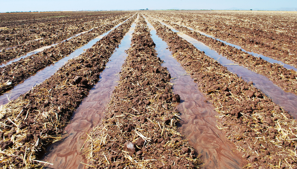 Land Degradation and Poverty
