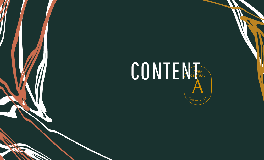 Aura Central Brand Style Guide working9.png