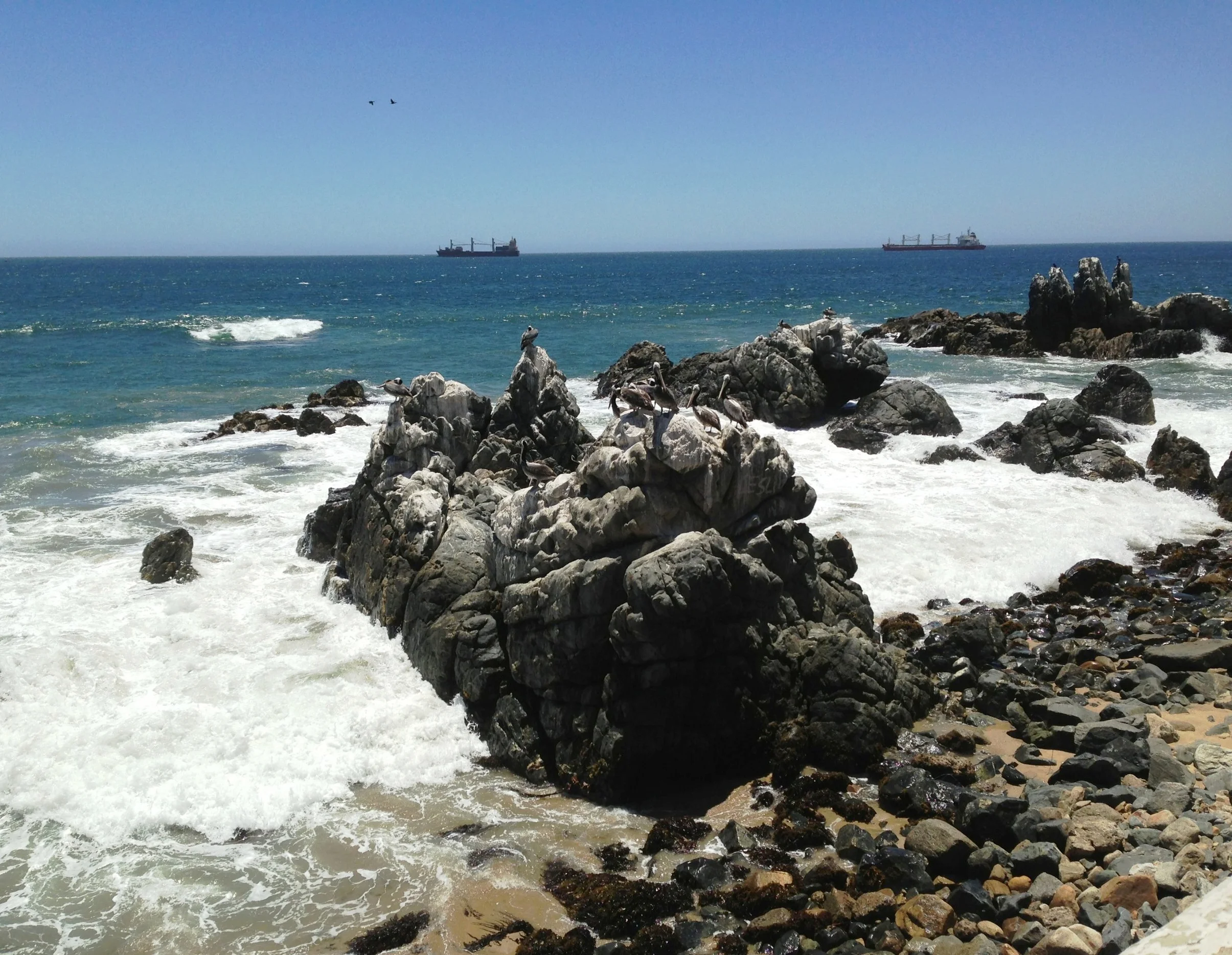 Pacific Coast in Vina del Mar, Chile