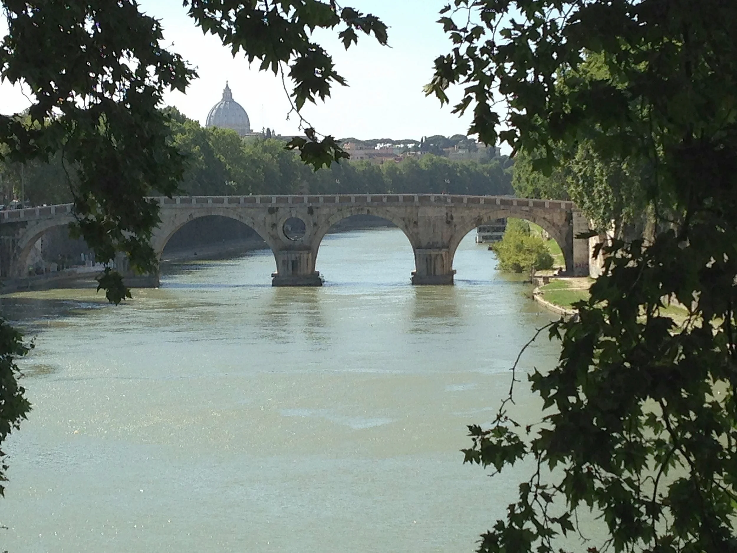 View of St. Peter's and the Tiber River