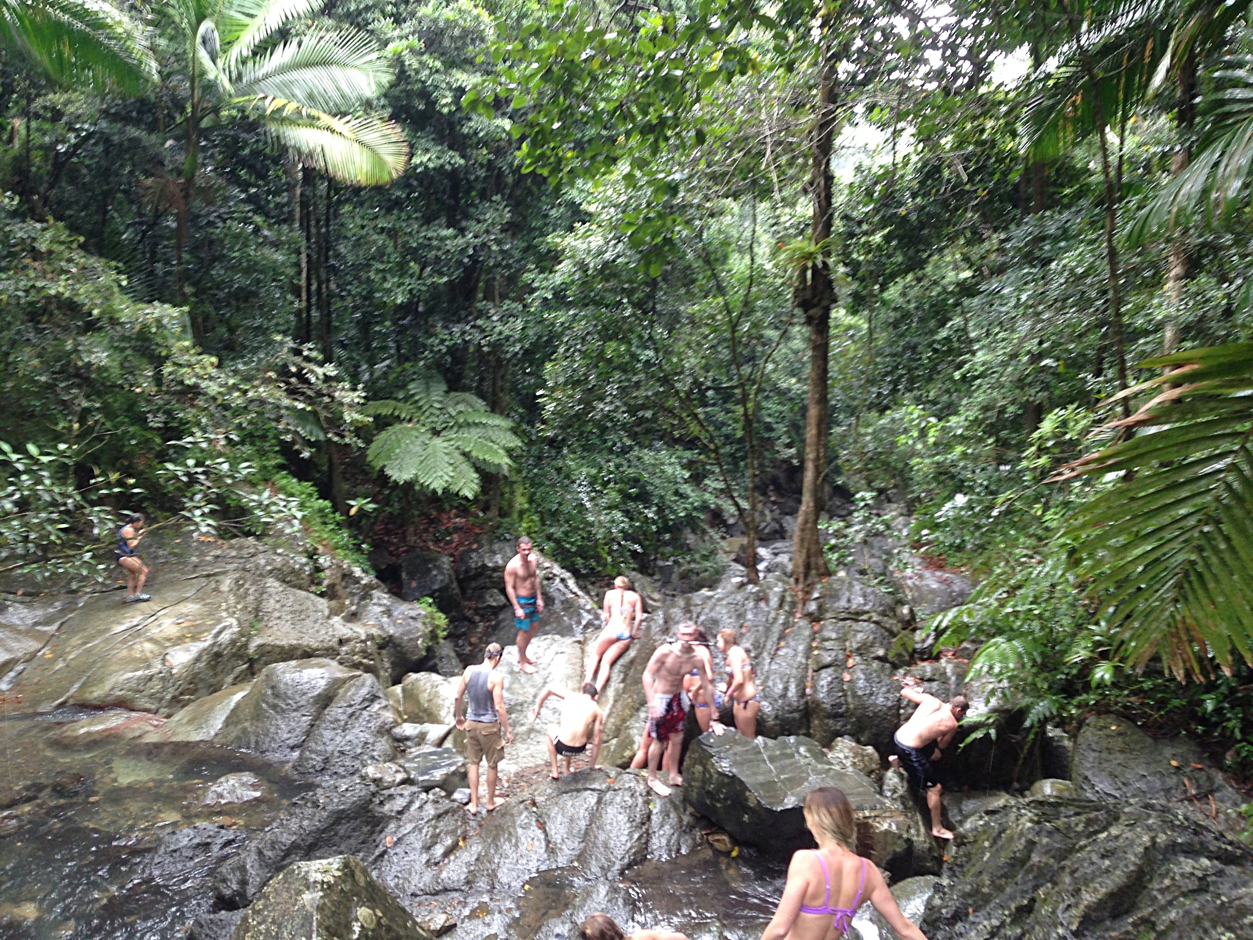 El Yunque Rainforest, Puerto Rico