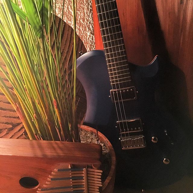 @relishguitars