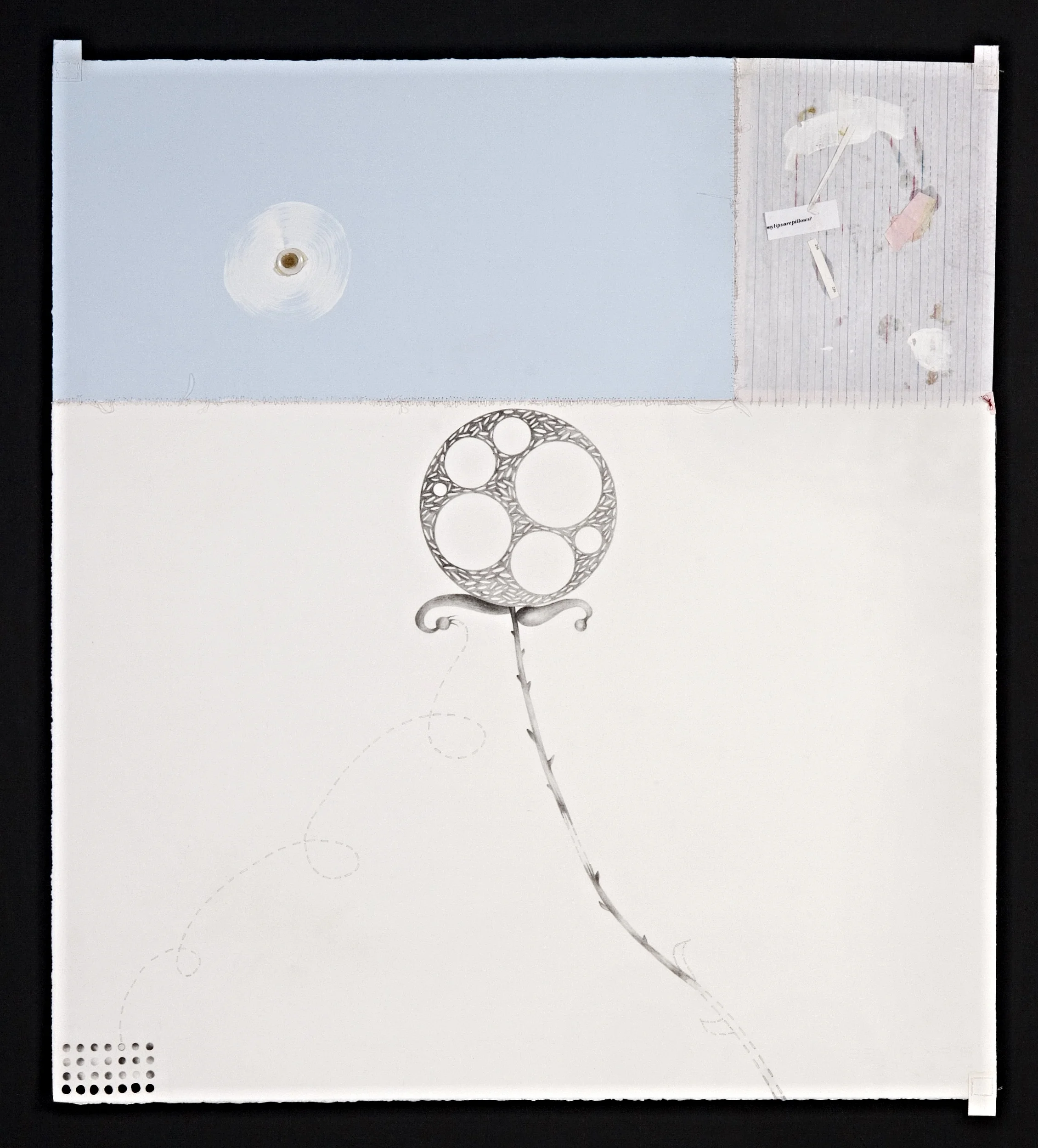 Seed Lesson No. 41 (plant flowers instead)