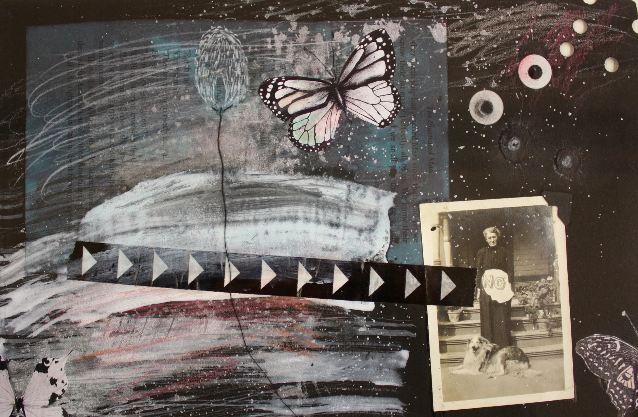 The Illustrated Woman