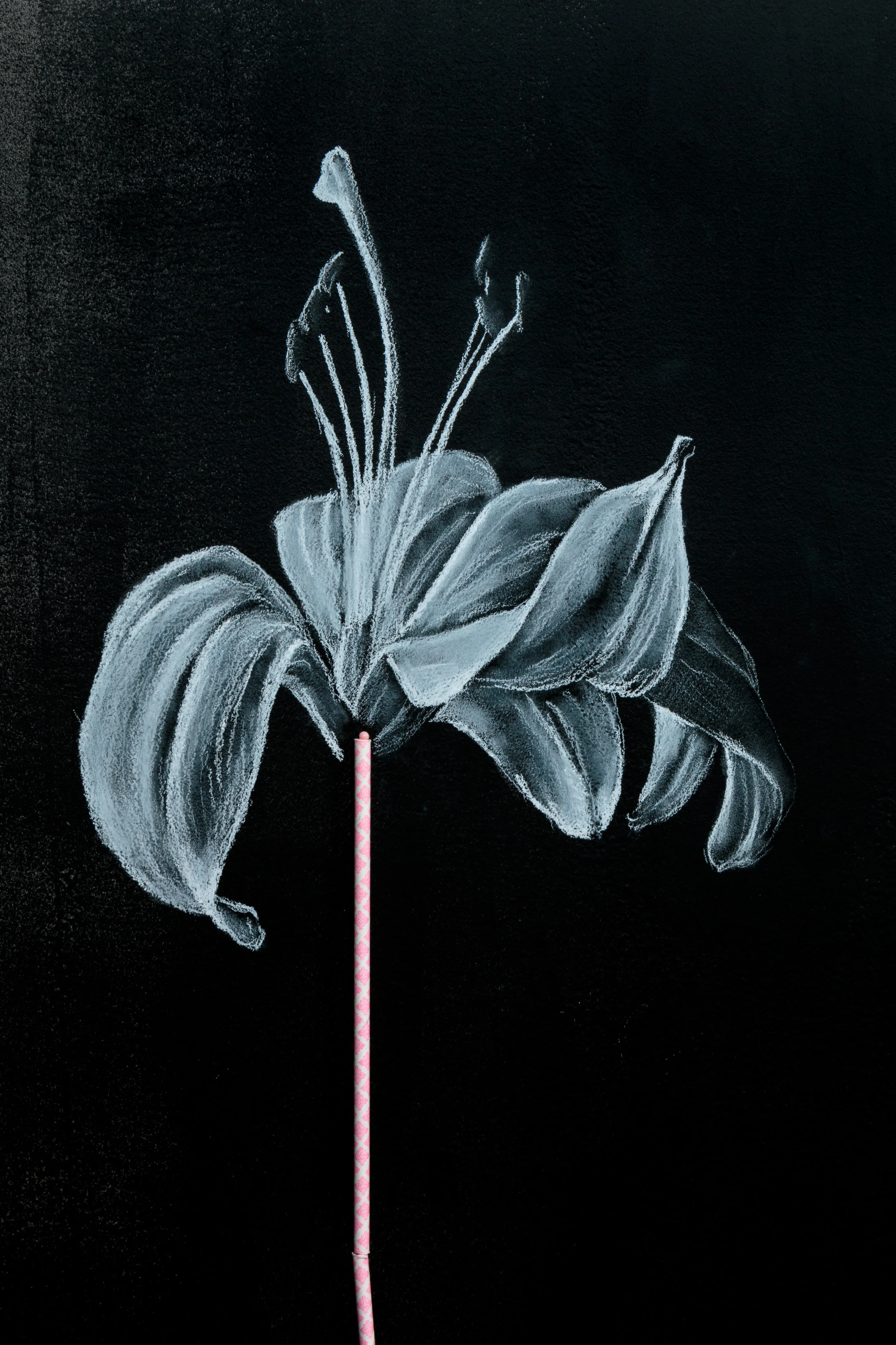 Special K flower.jpg