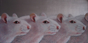 Painting “Animal Models” by Jane O’Hara