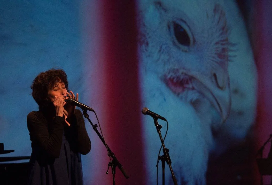 Joy Askew at the Compassion Arts & Culture and Animals Festival , October 21, 2017. Photo by Jo-Anne McArthur — with Joy Askew at Leonard Nimoy Thalia .