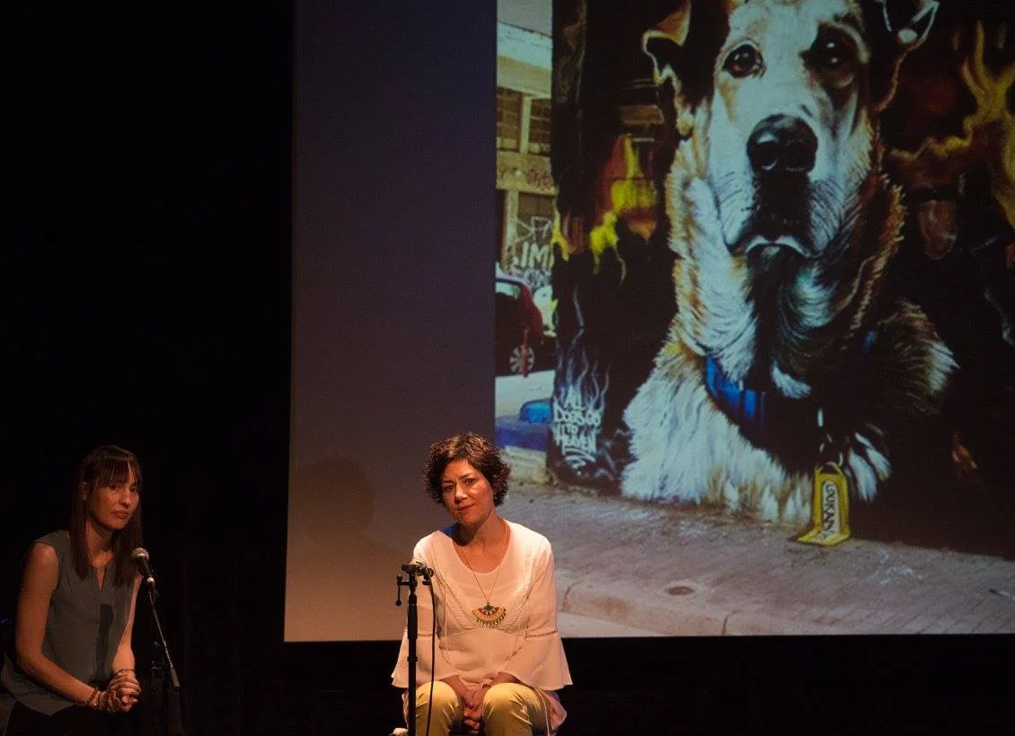 Yanoula Athanassakis and Ayten Alkan discuss political resistance and animals following a showing of KEDI Film at the Compassion Arts & Culture and Animals Festival, October 22, 2017. Photo by Jo-Anne McArthur