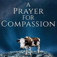 A-Prayer-for-Compassion.jpg