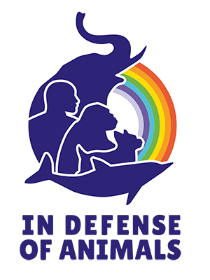 IDA_Logo_Vertical.png