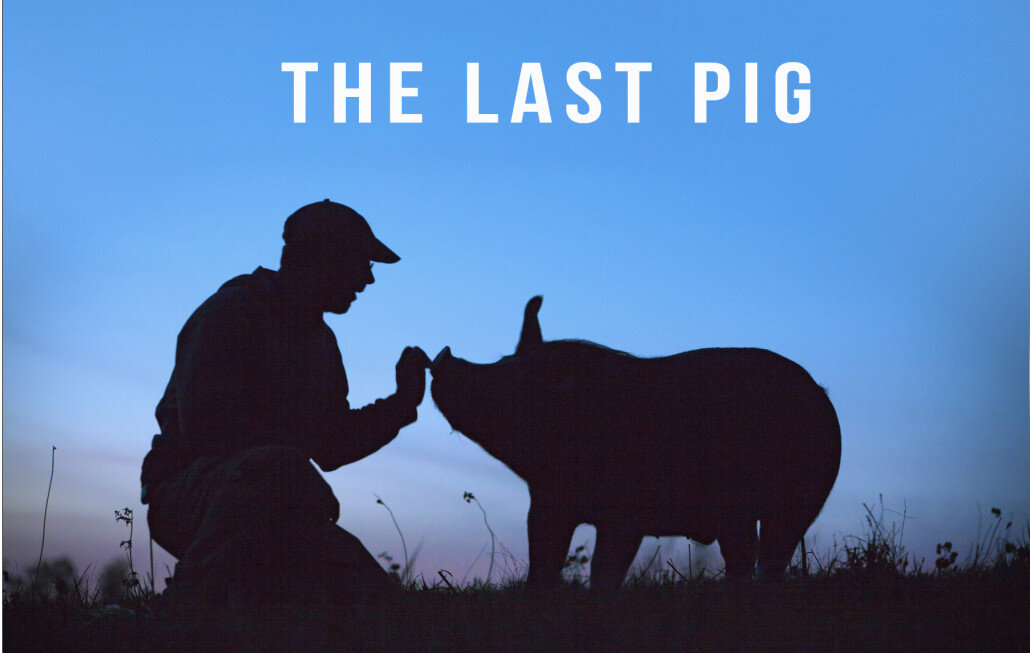The Last Pig poster.jpg
