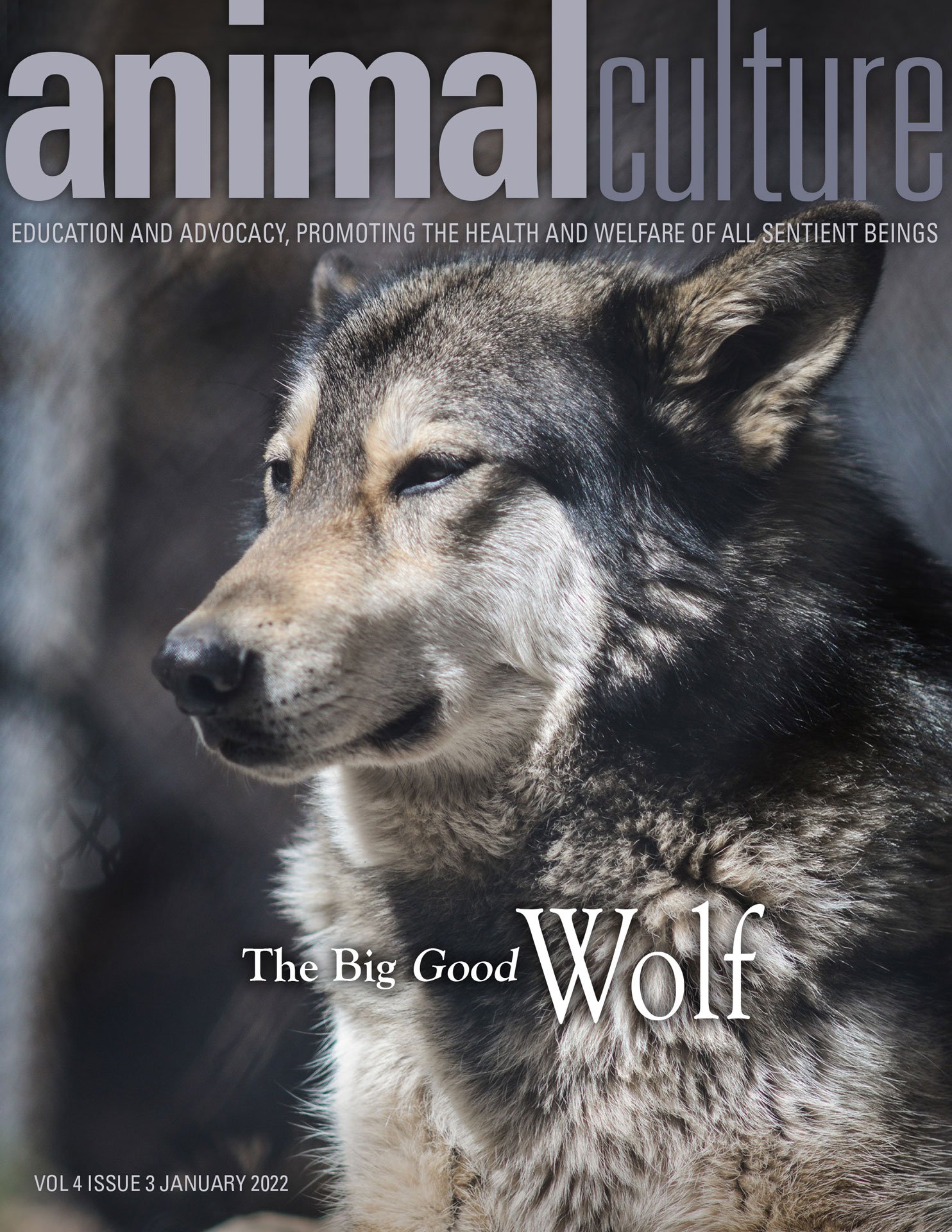 AnimalCulture magazine cover.jpg