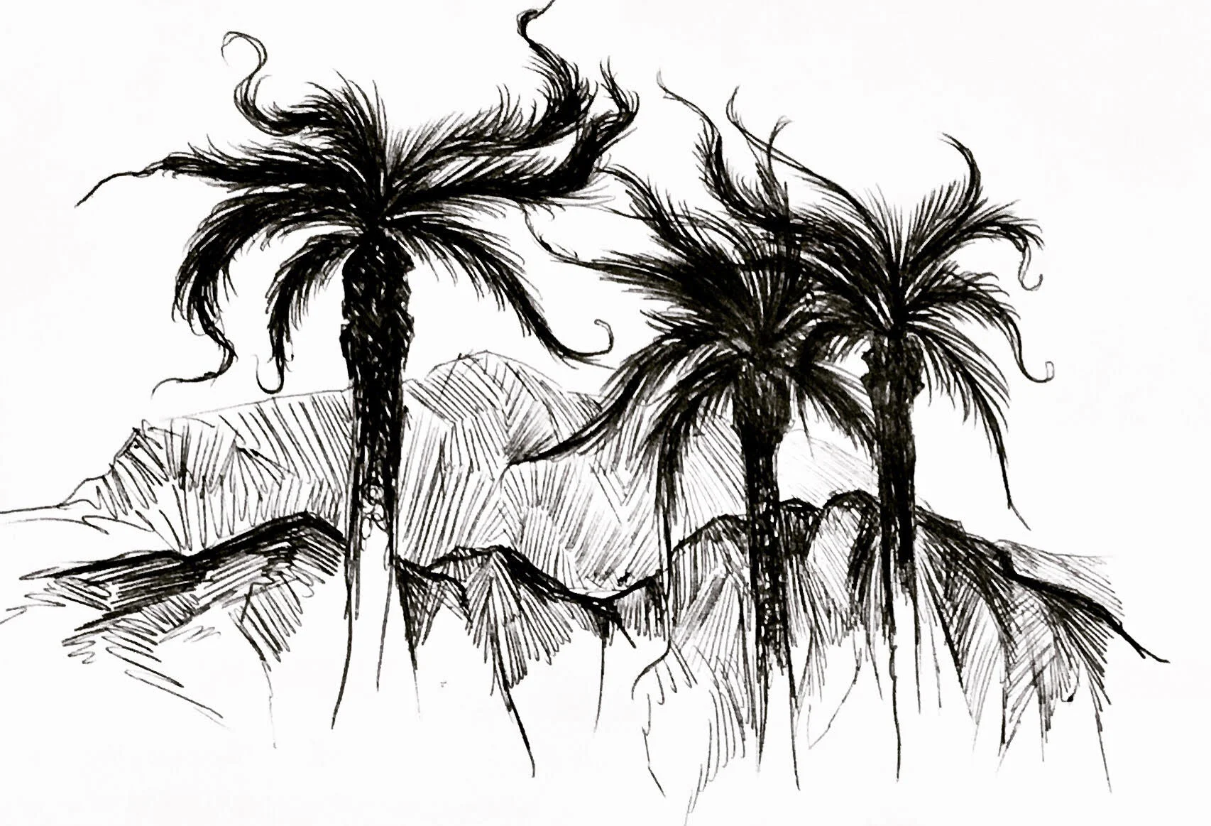 living trees.jpg