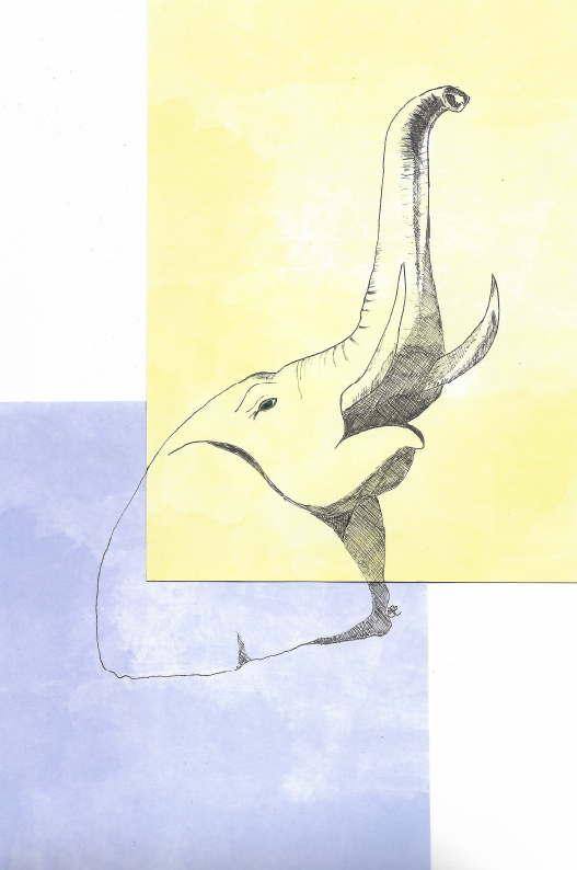 elephant bottom_1-01.png