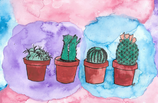 potted cacti-01.png