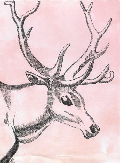 Reindeer-01.png