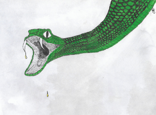 snake-01.png