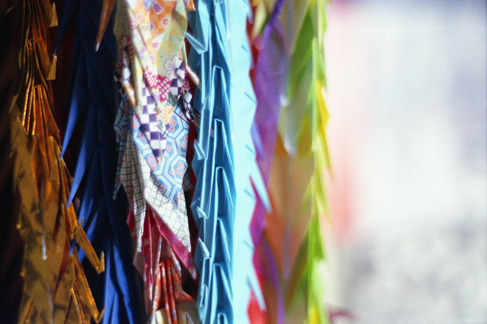 PaperCranes_Crop.jpg