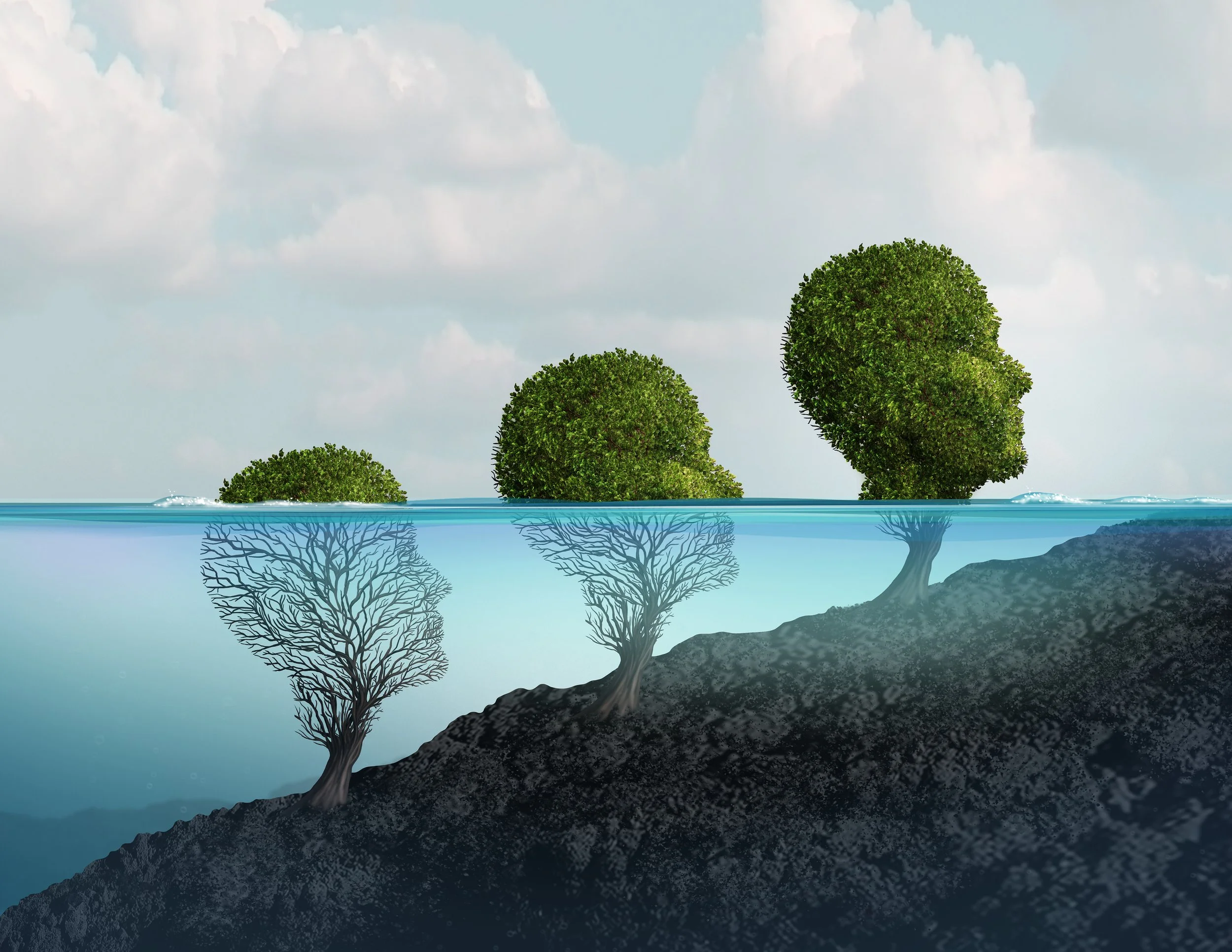 Art depicting what it feels like to be grounded and grow with the right supports.