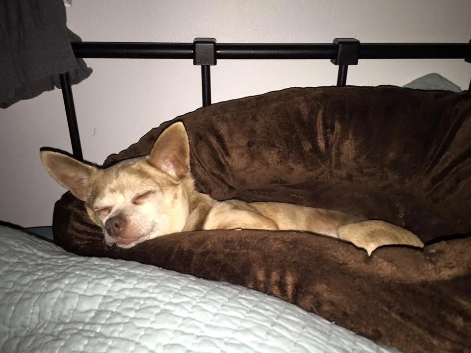 first night in her new bed, on our bed