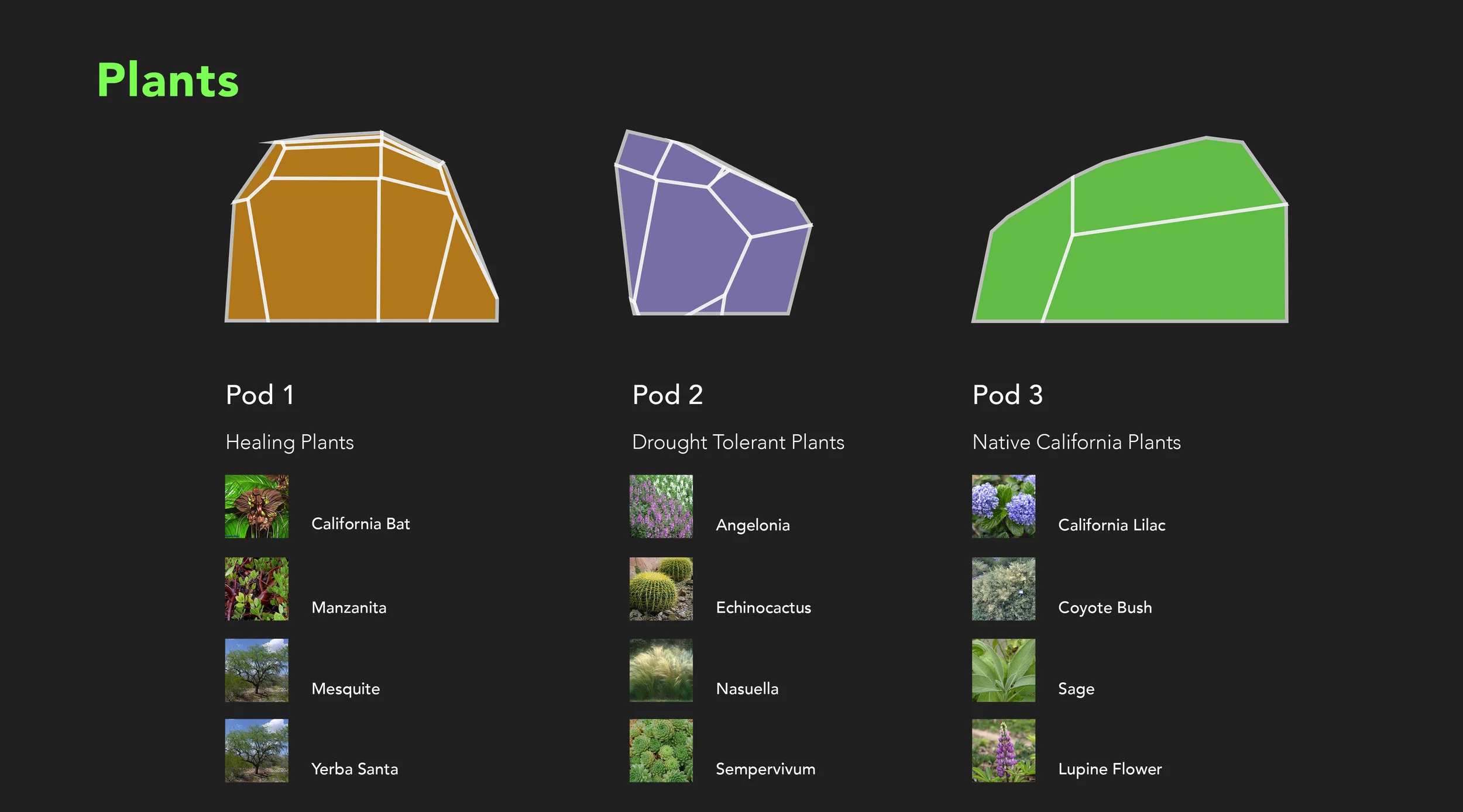 Crypsis_Website_Wide6.jpg