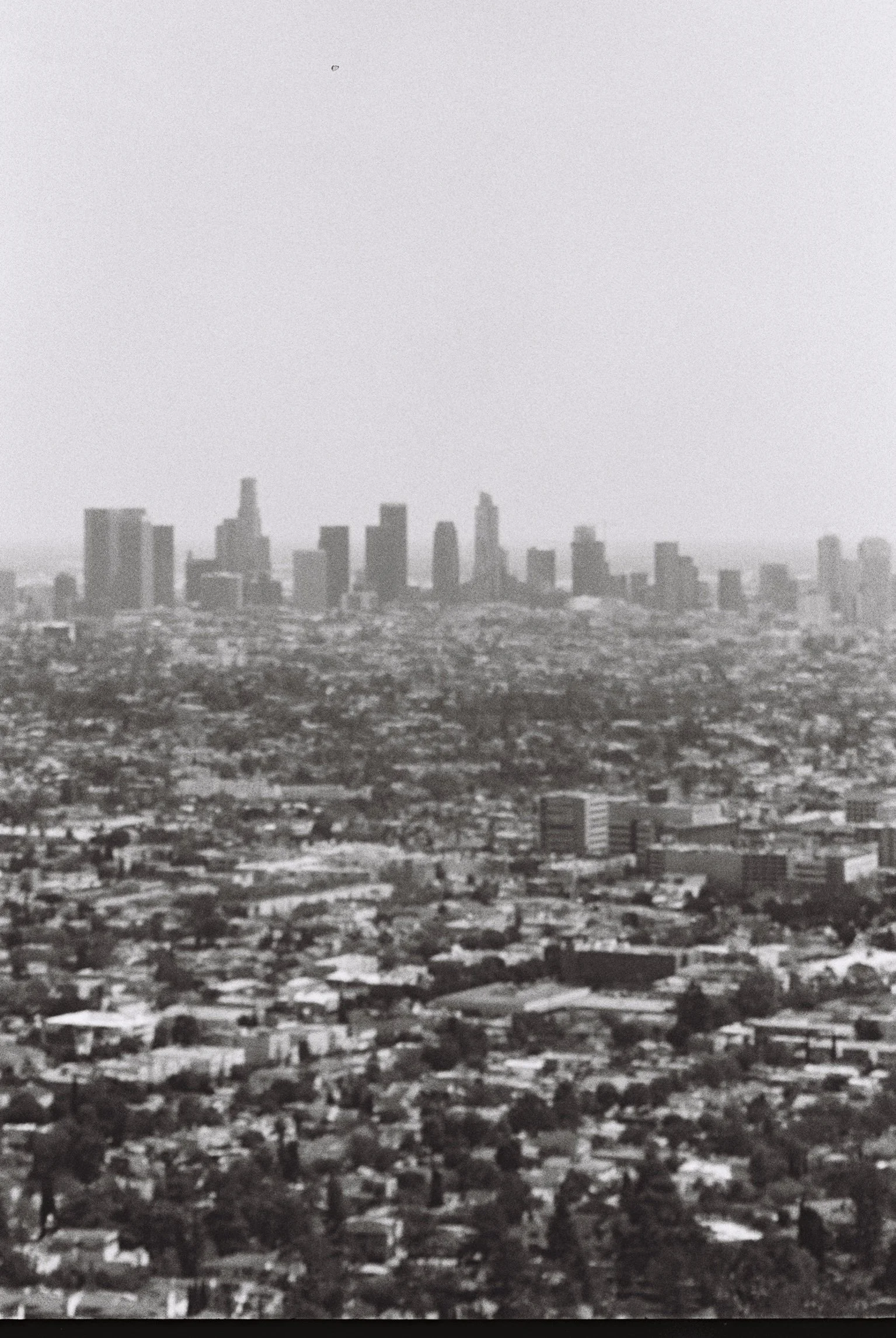 andy659-004 copy.jpeg