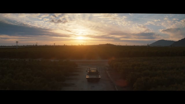 Sunkist_Here_DirectorCut