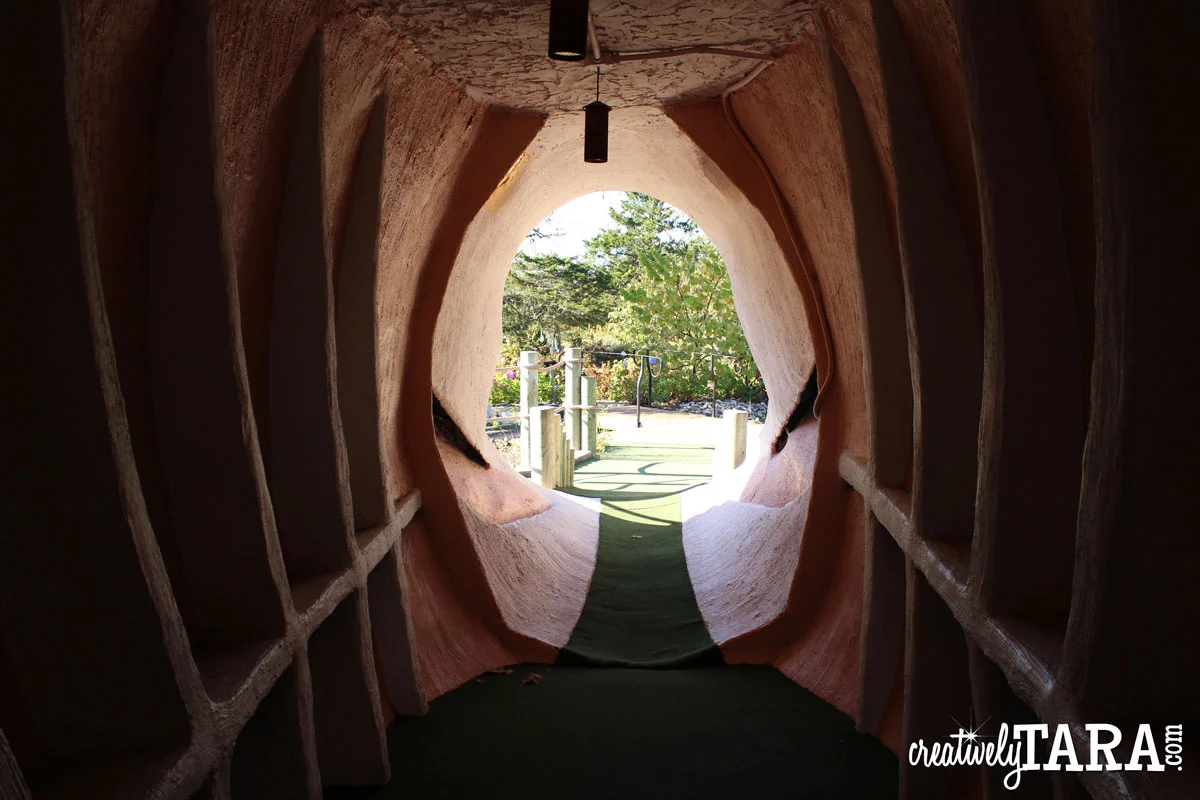 CreativelyTara_Nov16_Missouri97.jpg