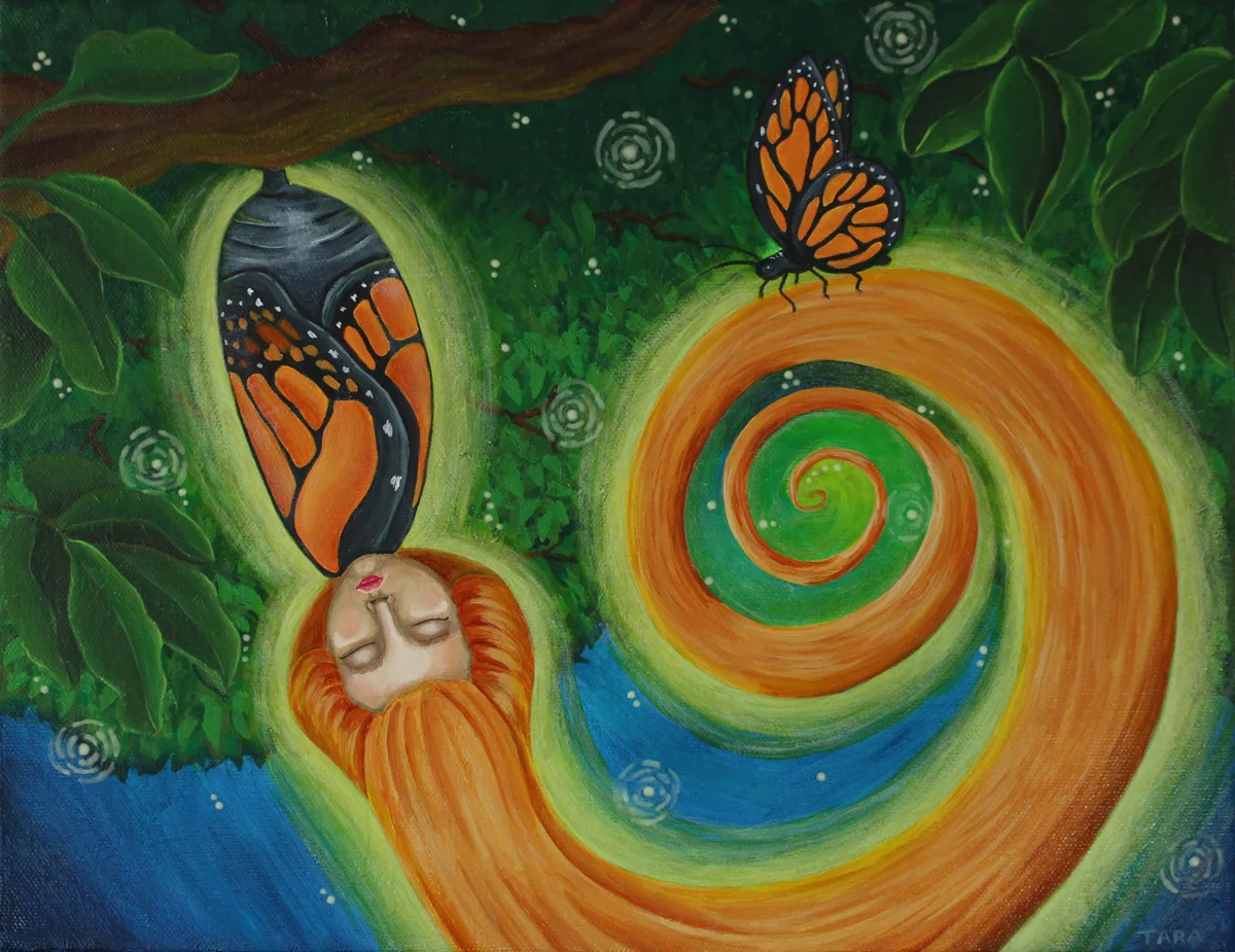 CT_Butterfly-Confined2.jpg