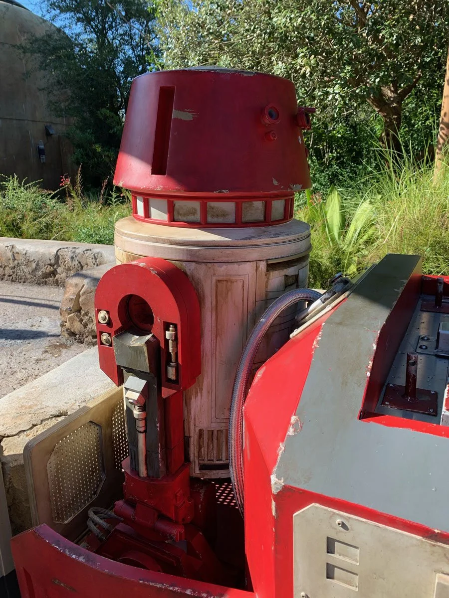 CT_DisneyHWS14.jpg