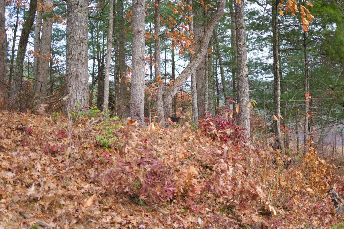 CT_OCT22_Day5_TN11.jpg
