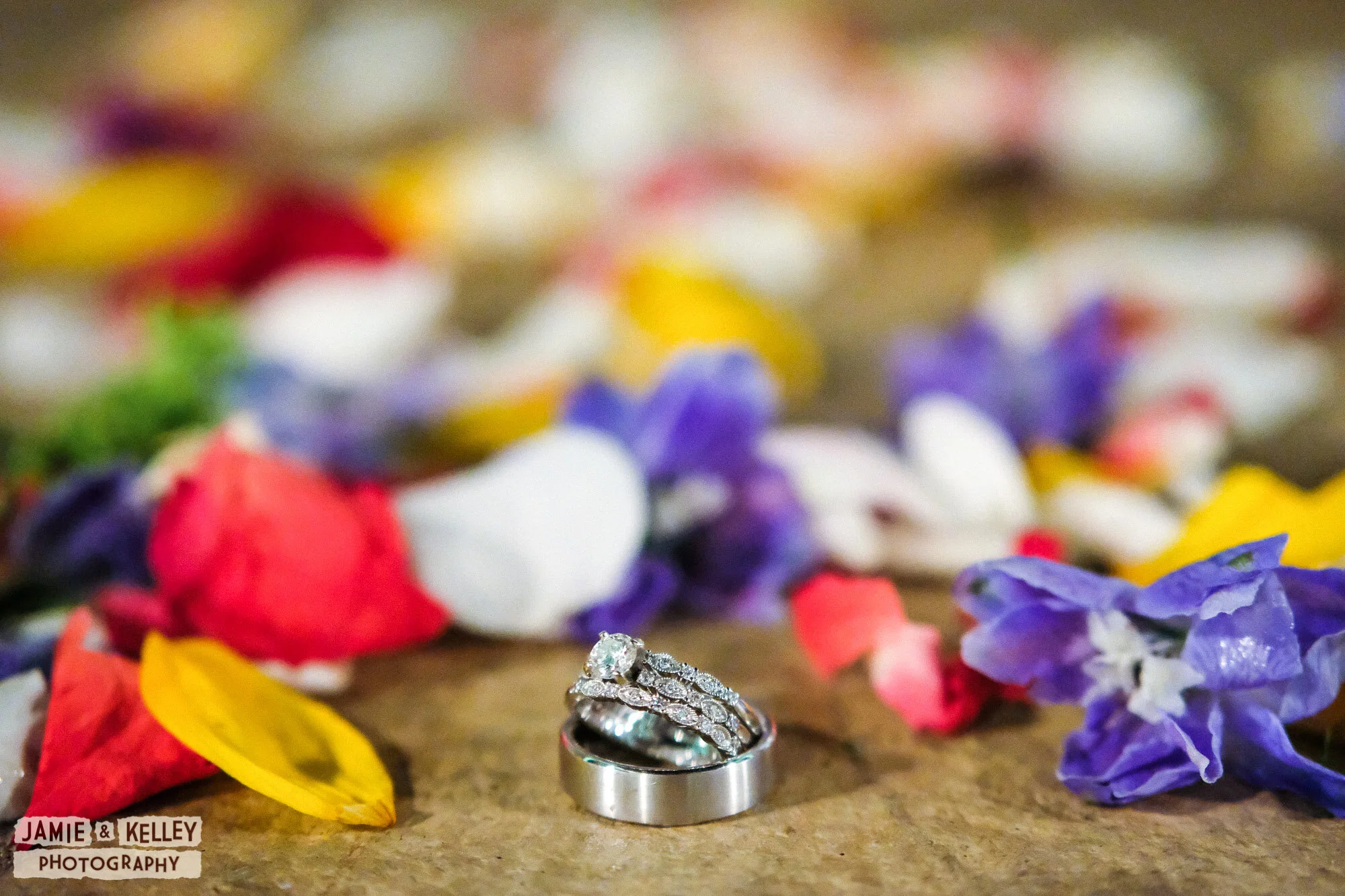 JK_ArinAndIsrael_WeddingTeasers_SprucedUp-05.jpg