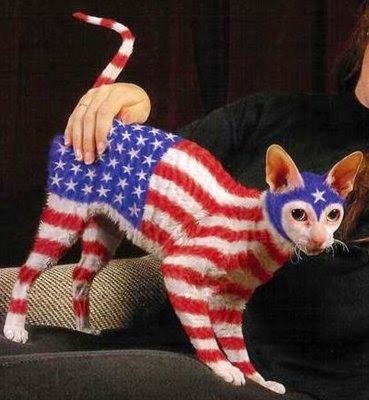 There is definitely something wrong about this though...