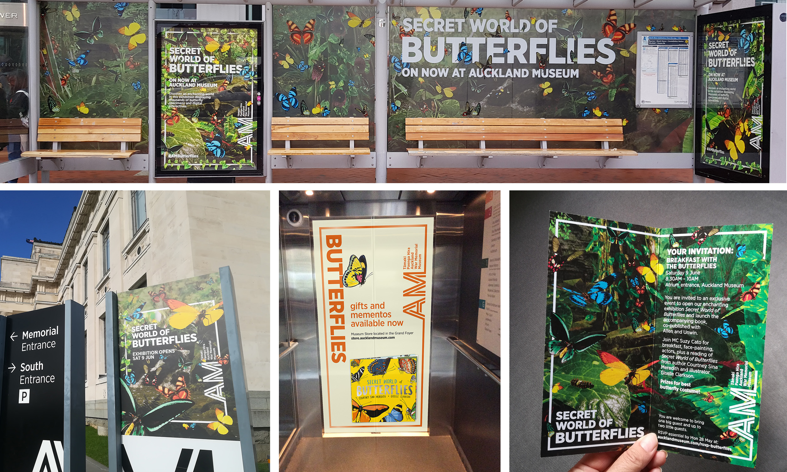 Secret Life of Butterflies exhibition