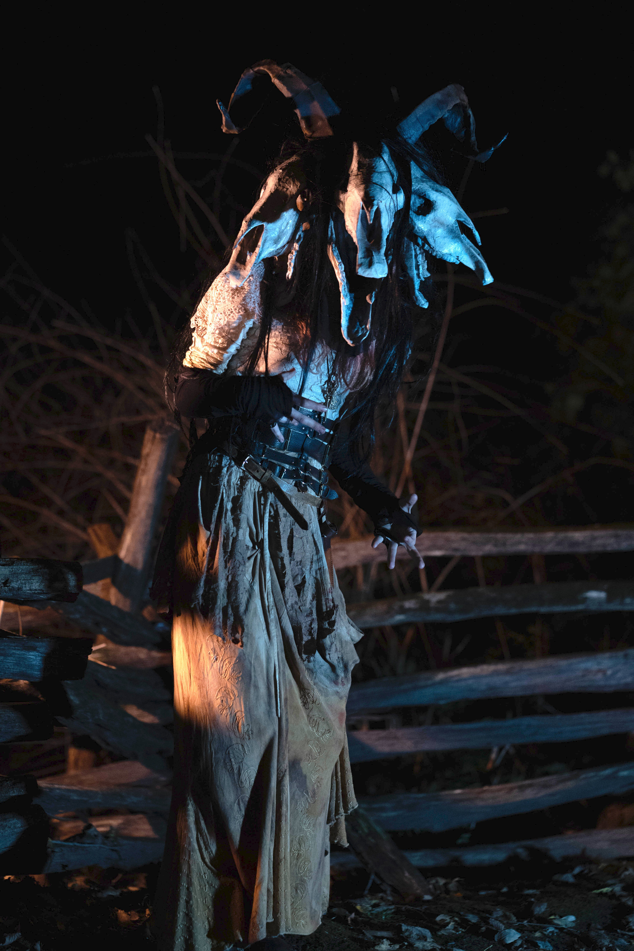 Favorite Creature.jpg